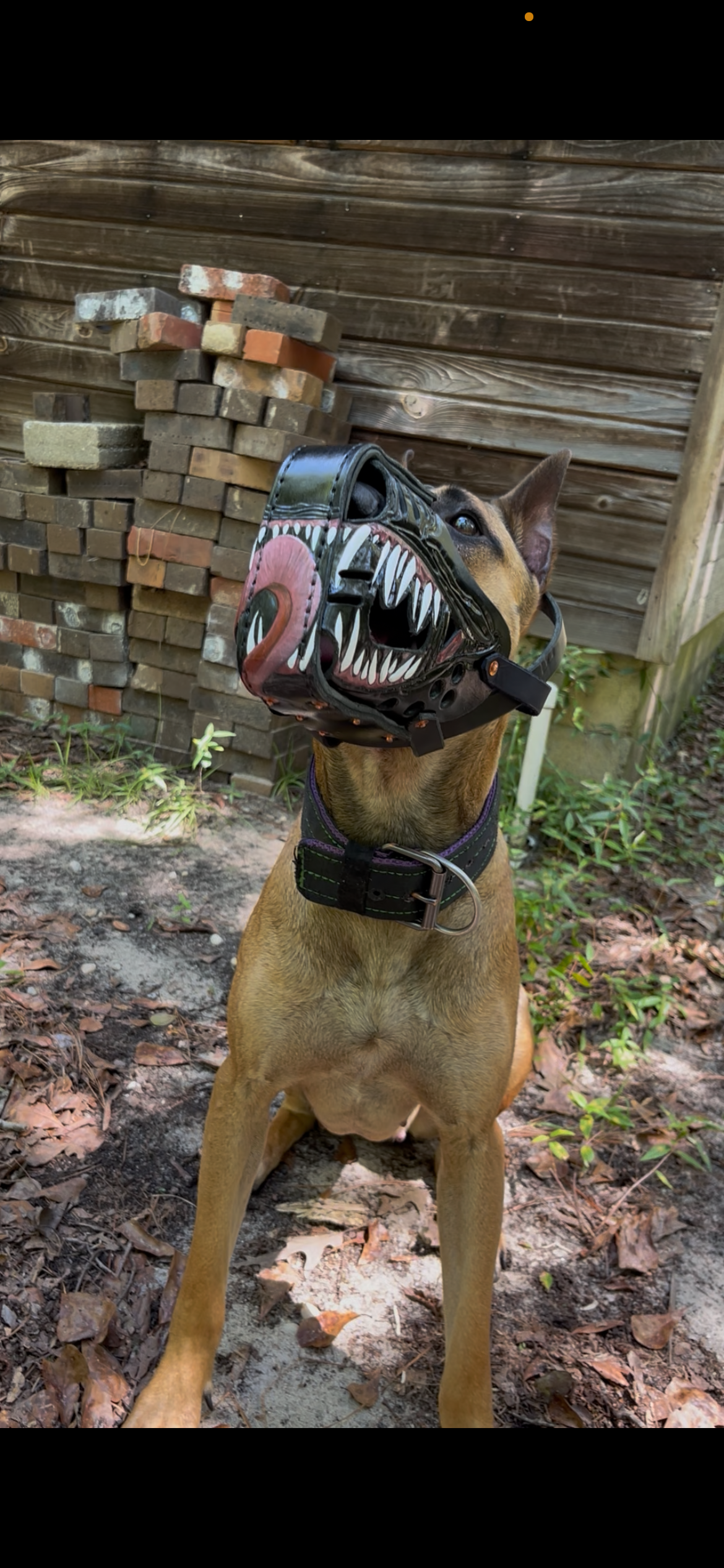 Completely Custom Heavy Agitation Muzzle
